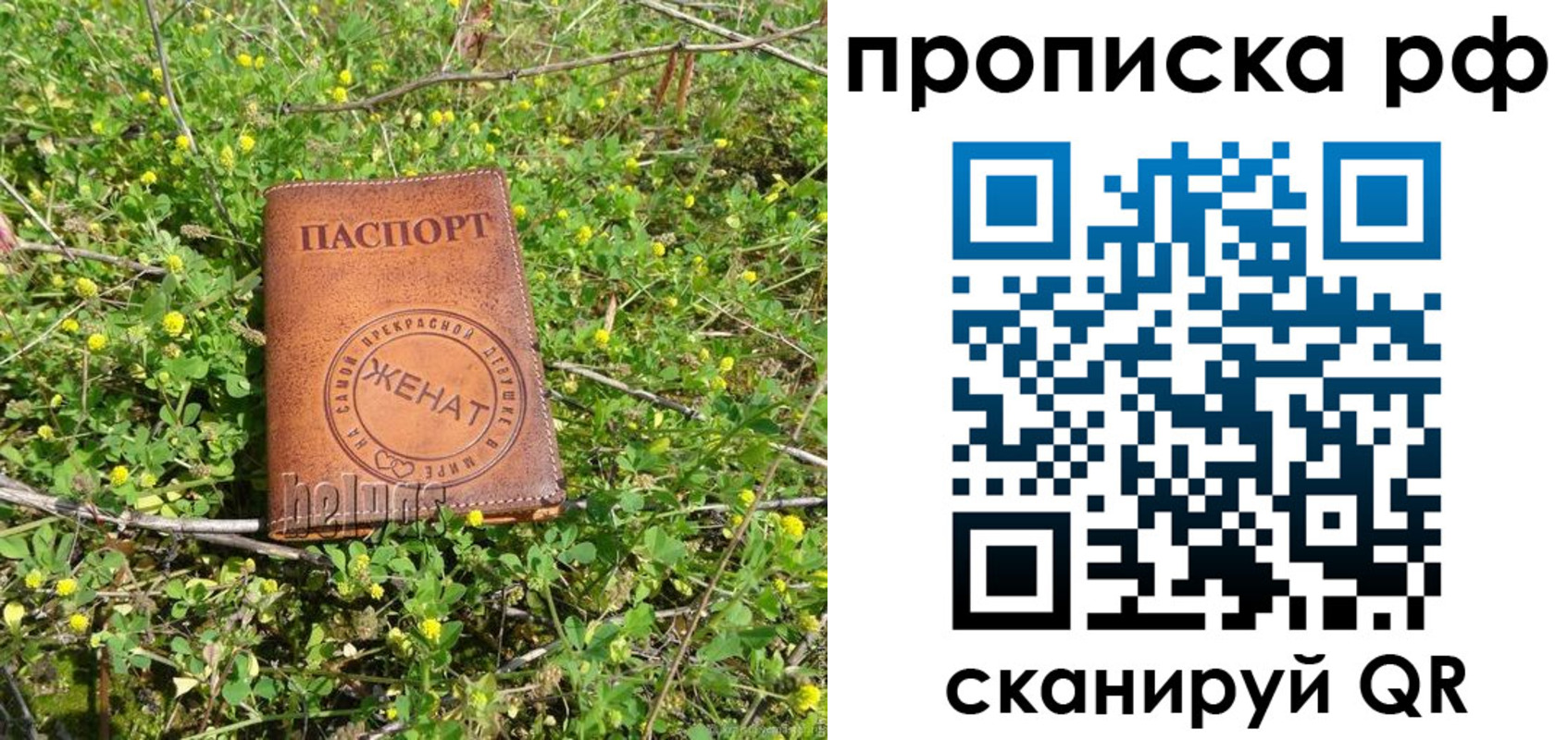 прописка паспорт в Бикине